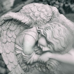 Reason Of Fallen