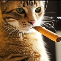 MR BIGG STUFF