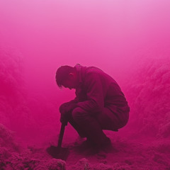 Pond Ambitions (Pond Tape Throwaway)