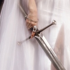 a beginner's guide to destroying the moon (slowed)