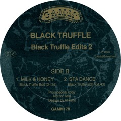PREMIERE: Black Truffle - Milk & Honey [GAMM]
