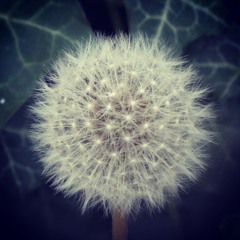 There Will Come A Day (Come Home)