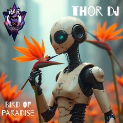Bird Of Paradise (Original Mix) Thor Dj WWRD 11/05/2024