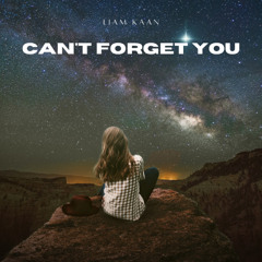 Can't Forget You