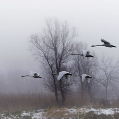 wanna be (p.neverforever)