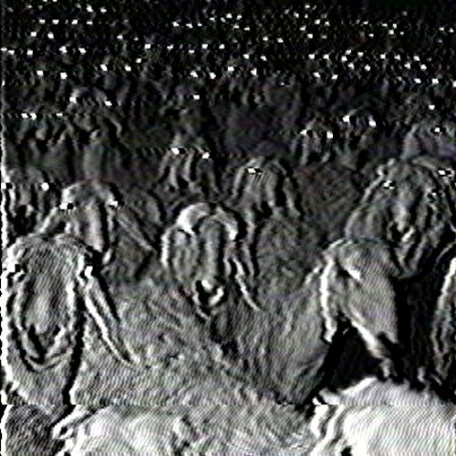 A SHEEP'S DESIRE FOR MURDER W/ BIOHAZXRD
