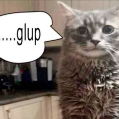 14-Audio 0001 [2025-05-12 161853]