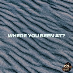 WHERE YOU BEEN AT? (Prod. PATRICK.NOEL)