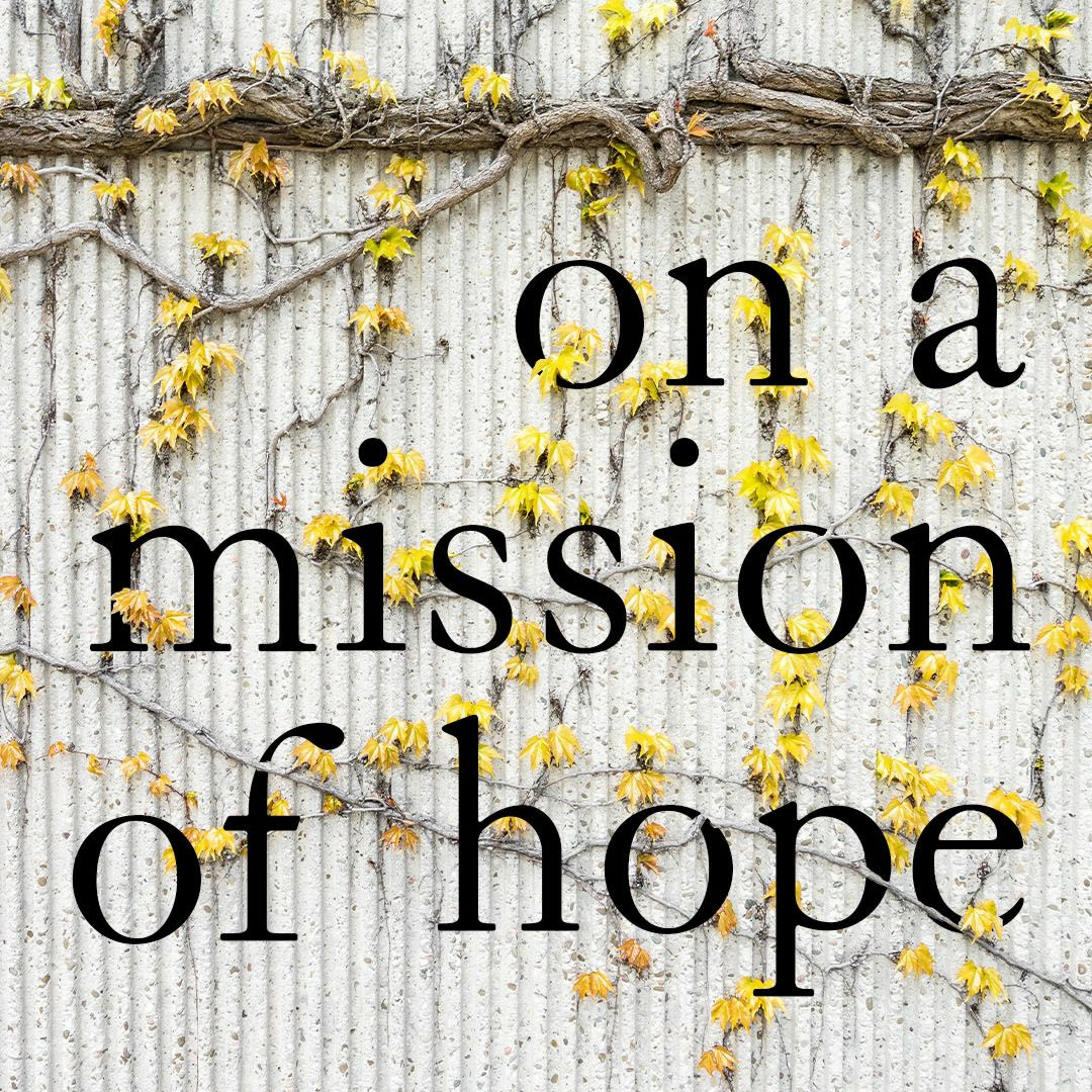16 February 2020 | On a Mission of Hope: 1 Peter 5 1-6 - Clint Leavitt episode artwork