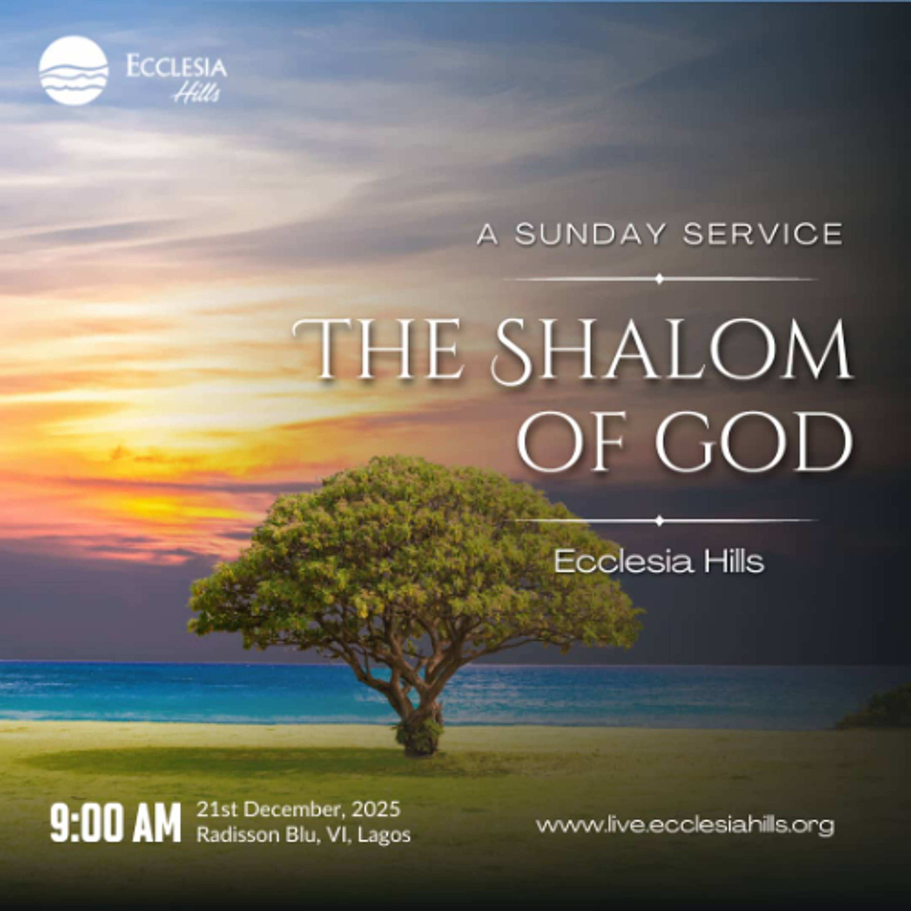 The Shalom of God | Pastor Lara Kayode