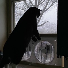 You’re Not on Vacation with Me