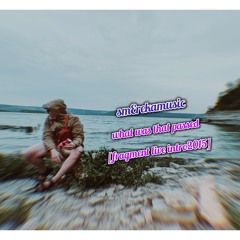 smereka - what was that passed [fragment live intro2015].mp3