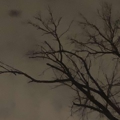 MOON_R1VER.mp3 ( rough demo. )