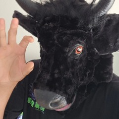 bull bitch