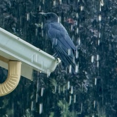 I don’t want memories