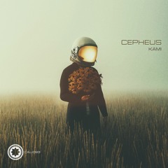 Kami - Cepheus