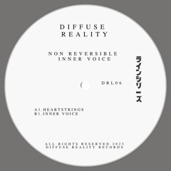 Premiere: Non Reversible "Heartstrings" - Diffuse Reality