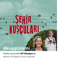 Şehir Kuşcuları - 36.Bölüm - Gece kuşlarını dinleyin