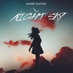 Night Sky - Shane Euston