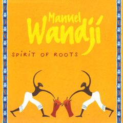 Go Back To Africa (Studio) [feat. Tony Allen]