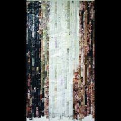 05 SCHULZE, An Appreciation Of The Genetic Palette