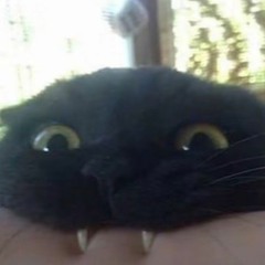 𝐍𝐞𝐯𝐞𝐫 𝐁𝐞 𝐀𝐥𝐨𝐧𝐞 - 𝐒𝐡𝐚𝐝𝐫𝐨𝐰 (𝐬𝐥𝐨𝐰𝐞𝐝 + 𝐫𝐞𝐯𝐞𝐫𝐛)