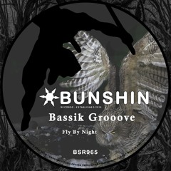 Bassik Grooove - Fly By Night (FREE DOWNLOAD)