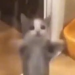 SACAME DEL BOLSILLO‼️🗣‼️🗣