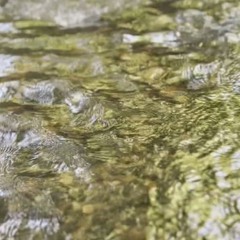 Flow