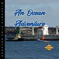 An Ocean Adventure