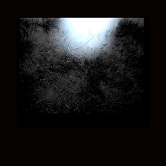 Kirril feat. Vincent - Lyre