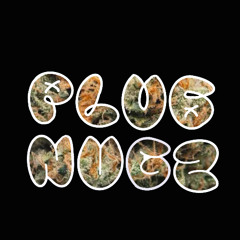 Plug Nugz Mini Mix VOL. I