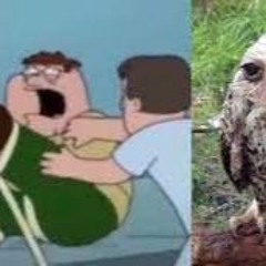 FUCK BIRDS #BIRDDISSTRACK w/Jesus @viviyenm
