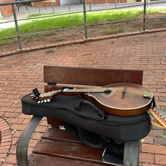Mandola - Phrygian dominant noodling