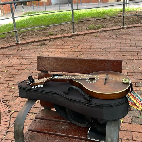 Mandola - Phrygian dominant noodling