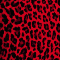 U My Typa B**** (jean devoninco)