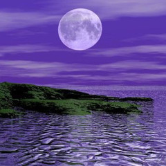 opium dream