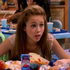 party in the usa - pluggnb flip/mix