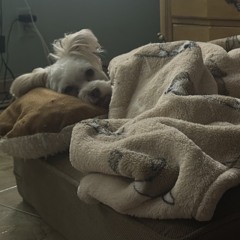 Calling Slowed + Reverb Prod.sickboi