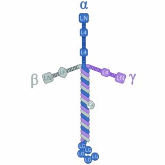 Laminin Soundbath(Complex Binaural)[Use Headphones}