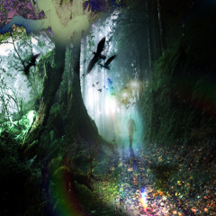 nature (okmax x flapbackk)