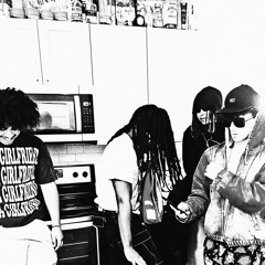 cdg & ed hardy FEAT BRAY