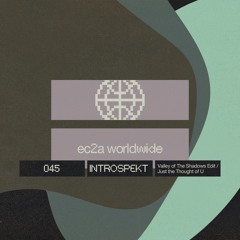 [EC2A-045] - Introspekt