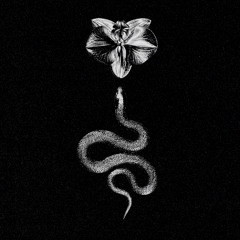 grožis pelenais nueinantis