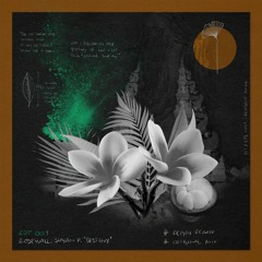 Rosewall, Shyam P - Destiny (Original Mix)