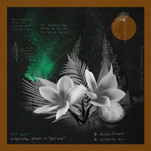 Rosewall, Shyam P - Destiny (Original Mix)