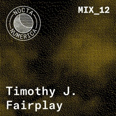 Nocta Numerica Mix #12 / Timothy J. Fairplay
