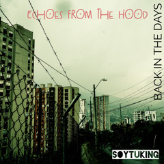 Echoes From The Hood (Beats stream edits)