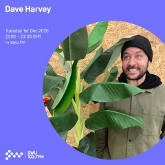 Dave Harvey - 1st DEC 2020