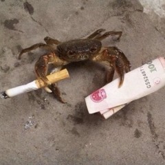 FXXK TH4T PUSSY B0I (prod.Nemii__)